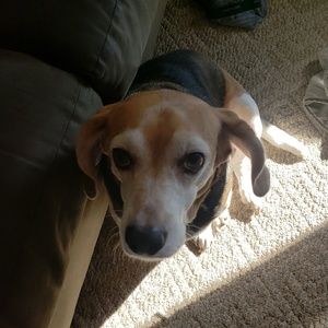 Meet your Posher, Tami